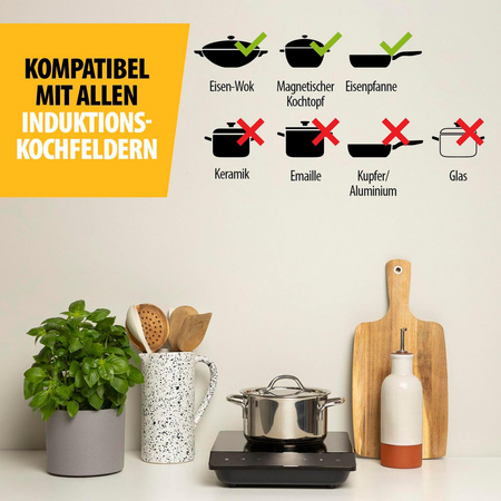induction hob